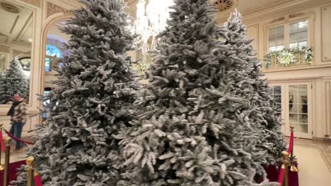 árboles-De-Navidad-Con-Escarcha-Artificial-En-Exhibición-En-El-Vestíbulo-Del-Hotel-Plaza,-Ciudad-De-Nueva-York---Vista-Orbital