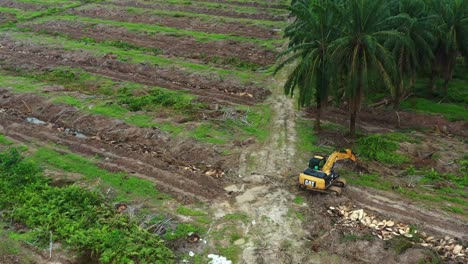 Drone-fly-around-an-idle-tree-cutting-crawler-excavator-in-the-middle-of-farmlands-after-removing-large-amount-of-hectares-of-palm-trees,-canopy-management-is-carryout-to-maximise-the-productivity