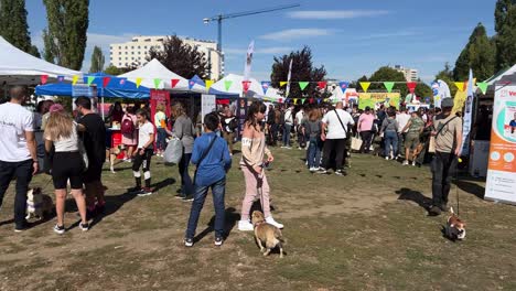 Festival-Canino-Dedicado-A-Juegos,-Diversión,-Golosinas,-Productos-Y-Servicios-Para-Perros