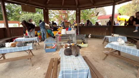 People-cleaning-area-of-educational-community-farm-with-children-waiting-to-feed-and-touch-animals-like-rabbits-and-chicks