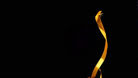 Static-slow-motion-shot-of-falling-gift-ribbon-in-red-and-yellow-for-aesthetic-and-upscale-shots