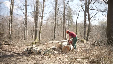 Tree-Surgeon-Using-Chainsaw-To-Cut-Timber-In-Forest-In-Taunus,-Germany