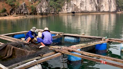 Two-fishermen-working-on-the-floating-pond-in-Halong-bay,-Vietnam