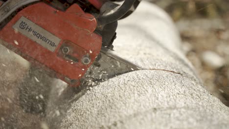 Close-Up-Of-Chainsaw-Cutting-In-Tree-Trunk-With-Sawdust-Flying-About