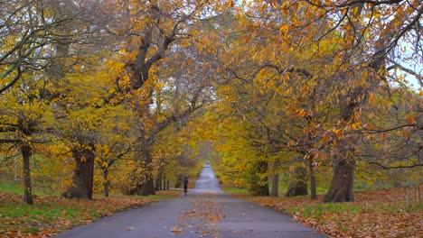 Jogger-On-The-Empty-Road-In-The-Royal-Park-Of-Greenwich-During-Autumn-In-London,-UK