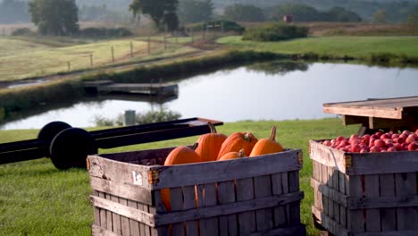 Bins-of-freshly-picked-apples-and-pumpkins-sit-in-the-foggy-morning-light
