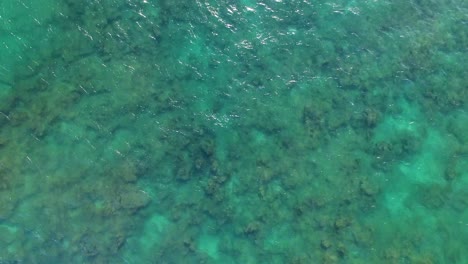 Aerial-shot-of-turquoise-Hawaiian-waters-near-Diamond-Head