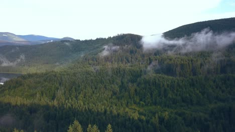 Tracking-Drohne-Aus-Der-Luft,-Die-Die-Unterschiedlichen-Landschaften-Der-Rumänischen-Berge-Im-Valea-Draganului-Zeigt