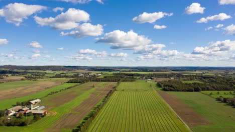 Hyperlapse-aerial-view-over-green-fields,-blue-sky-and-clouds