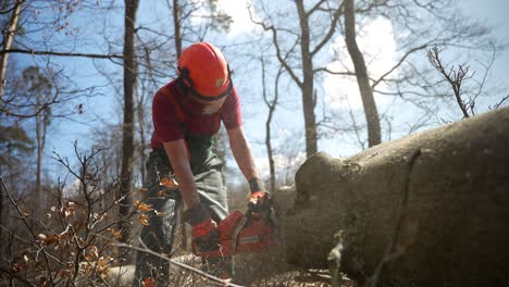 Arborist-Wearing-Orange-Protective-Helmet-With-Visor-Using-Chainsaw-To-Cut-Tree-Trunk-On-The-Ground