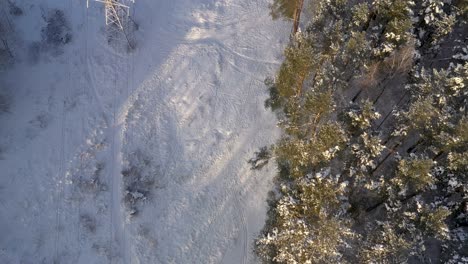 AERIAL:-Top-Down-Shot-of-Flying-Above-Power-Electricity-Cable-Lines-in-Forest-on-Winter-Day