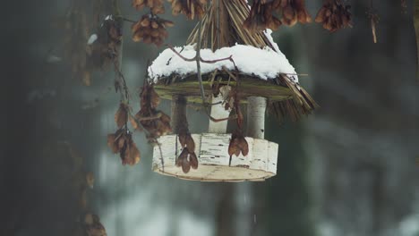 Eurasian-blue-tit-or-titmouse-birds-fly-around-and-eat-from-snowy-wooden-feeder