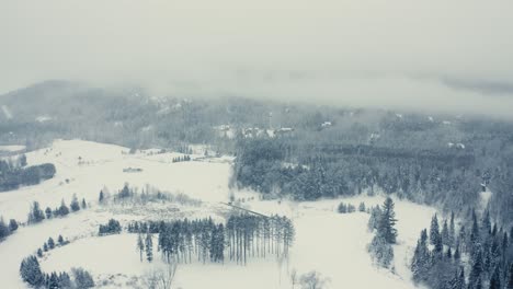 Neblige-Winterlandschaft---Drohnenfliegen-4k---Berge---Bäume,-Flüsse,-Schneebedeckte---Filmische-Bäume