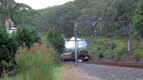 Locomotora-De-Vapor---Kiama-Picnic-Train-5917-Navegando-A-Través-Del-Valle-De-Otford,-Nsw,-Australia---4k-59