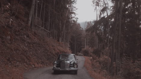 Driving-classic-Mercedes-Benz-uphill-on-forest-road,-front-view
