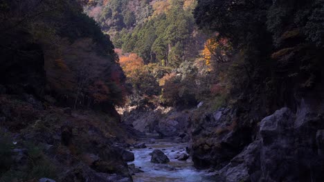 Schönes-Herbstlaub-Gegen-Tiefe-Dunkle-Schlucht-Mit-Fließendem-Fluss