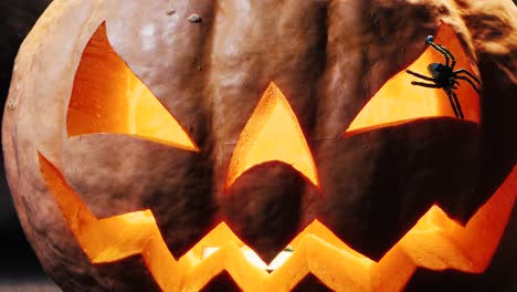 Calabaza-De-Halloween-Con-Una-Cara-Aterradora-Y-Una-Araña-En-El-Ojo,-Iluminada-Desde-El-Interior-Con-Luces-Multicolores,-Una-Calabaza-Muy-Aterradora-Para-Halloween