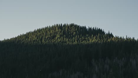 4k-timelapse-showing-the-first-sun-rays-hiting-a-green,-tree-covered-mountain-peak