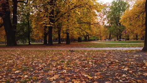 Beautiful-autumn-pathway-with-yellow,-orange-and-golden-foliage-in-Park-Skaryszewski-with-beautiful-autumn-colors