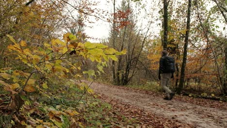 A-person-walking-on-a-foggy-day-on-a-gravel-path-surrounded-by-yellow-and-orange-fall-colours