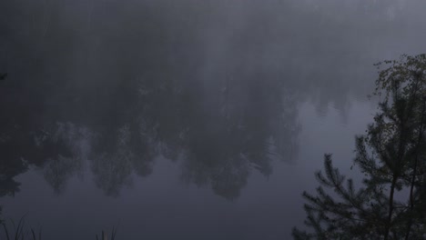 foggy-lake-in-Belgium-looks-really-dark-and-moody