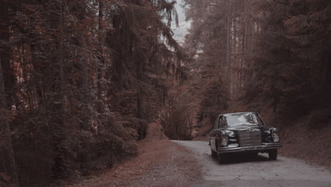 Vista-Frontal-En-Vintage-Mercedes-300-Se-En-Carretera-En-Bosque-Conducir-Lentamente