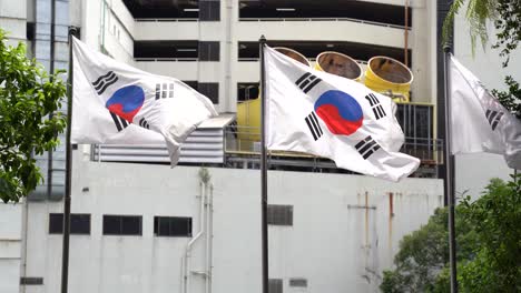 Three-flags-of-South-Korea-waving-with-buildings-on-background-on-a-windy-day