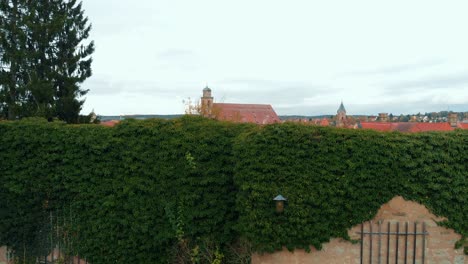 a-panorama-of-a-historic-city-and-the-drone-begins-to-descend-in-a-cascade-along-the-city-wall-then-it-descends-along-a-living-wall-of-a-plant