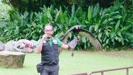 Guardián-Del-Zoológico-Y-Entrenador-Con-Búho-En-La-Mano-Explicando-Al-Público-Sobre-Los-Animales
