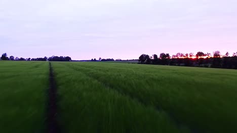 a-drone-flying-low-over-a-green-field-and-on-the-horizon-trees-and-sunset
