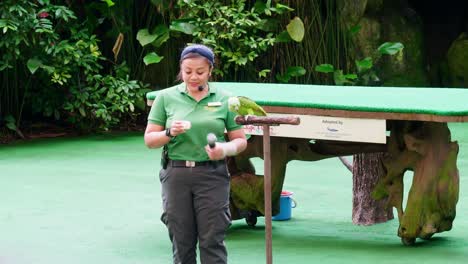 Trainer-together-with-animal-training-performing-show-in-big-zoo