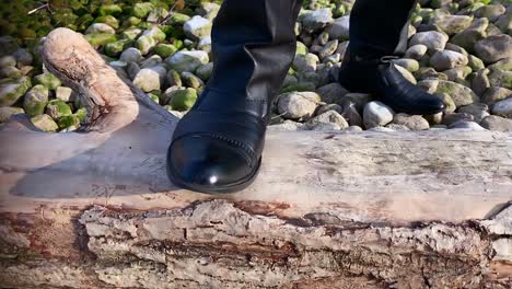 a-musician-puts-his-foot-on-an-old-withered-tree-by-the-lake