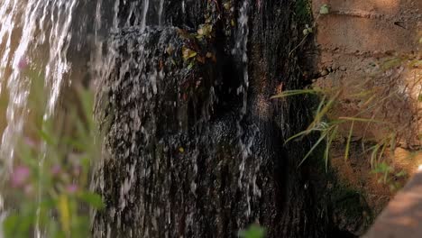 Nahaufnahme-Eines-Kleinen-Wunderschönen-Wasserfalls-Mit-Schönem-Grün