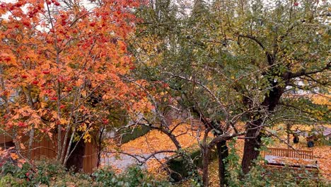 Eine-Steinmauer,-Die-Mit-Grünen-Efeubäumen-Mit-Herbstlaub-Bedeckt-Ist-Schönes-Herbstpanorama