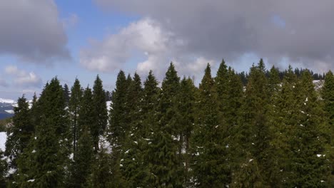 Luftaufnahme-Des-Schneebedeckten-Gipfels-Des-Kolitza-berges,-Umgeben-Von-üppigem-Kiefernwald,-Bewölkter-Tag