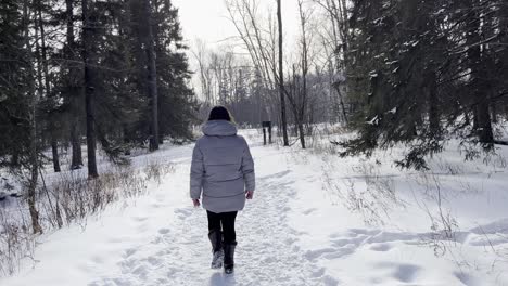 Woman-taking-a-walk-outdoors-in-nature-on-a-winterwonderland-landscape,-travel