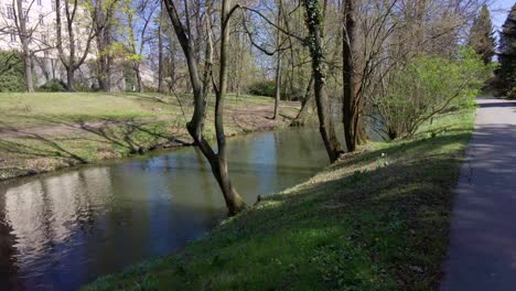 Flowing-river-with-banks-overgrown-with-grass-and-trees,-in-the-background-people-passing-by-the-historic-walls-and-buildings,-Olomouc