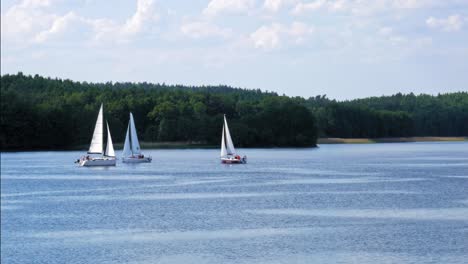 Scenic-View-Of-Sailboats-On-The-Calm-Lake-In-Charzykowy,-Poland---static-shot