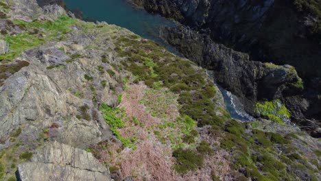 Peaceful-Amlwch-Anglesey-North-Wales-rugged-mountain-coastal-walk-aerial-view-rising-top-down