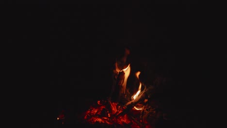 Bonfire-smolders-in-the-dark-forest