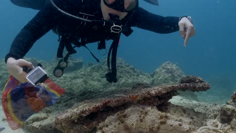 Scuba-Diver-Points-On-A-Sea-Cucumber-On-Hard-Coral-On-The-Reef-During-Ocean-Cleanup