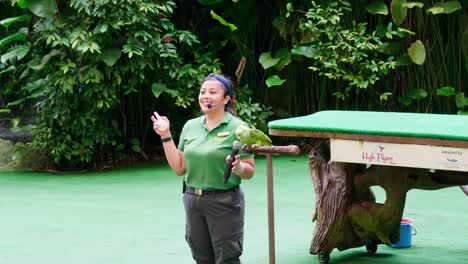 Trainer-together-with-animal-training-performing-show-in-big-zoo
