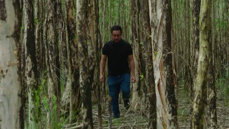 Young-man-in-white-T-shirt-walking-through-a-forest-of-Pinus-sylvestris