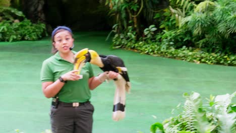 Trainer-Zusammen-Mit-Tiertraining,-Das-Eine-Show-Im-Großen-Zoo-Durchführt