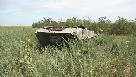 A-Russian-armoured-personnel-carrier-with-the-distinctive-“Z”-marking-has-been-abandoned-in-a-field-of-long-grass-and-yellow-sunflowers-near-the-frontline-of-Russian-occupied-Kherson-in-Ukraine