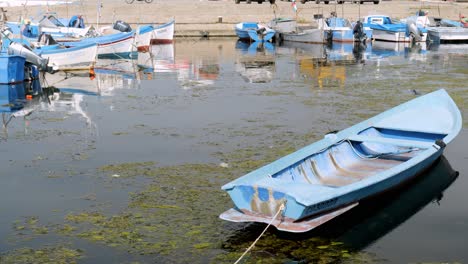 Pequeños-Barcos-De-Pesca-Azules-Y-Blancos-En-El-Puerto-De-Sozopol-Mar-Negro