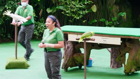 Trainer-Zusammen-Mit-Tiertraining,-Das-Eine-Show-Im-Großen-Zoo-Durchführt