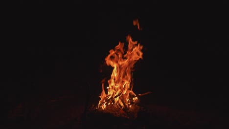 Bonfire-blazing-Outdoors-in-the-night