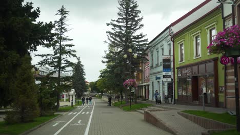 Walking-the-town-center-with-small-shops-and-lots-of-urban-greenery