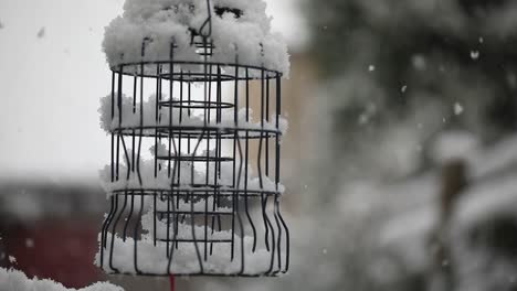 Filmaufnahme-Eines-Leeren-Vogelkäfigs-Im-Schnee,-Unscharfer-Hintergrund